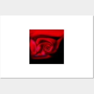 A rose by any other name ..... Posters and Art